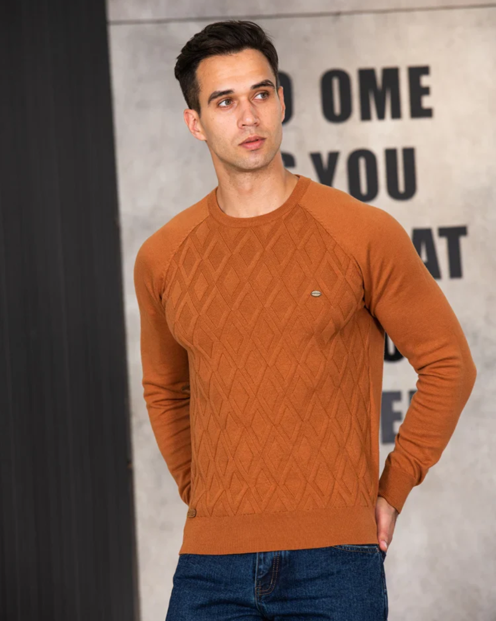 Herren Pullover mit Karomuster V2